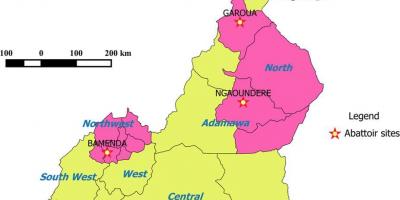 Kamerun viser regioner kart