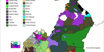 Kart over Kamerun språk